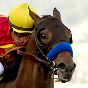 Azul Coast | America's Best Racing
