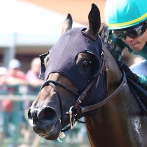 Gregory D. Foley | America's Best Racing