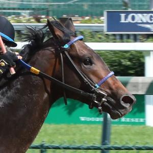 Joe Sharp | America's Best Racing