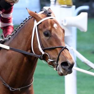 America's Best Racing