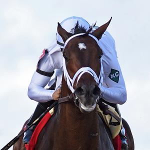 Emmanuel | America's Best Racing