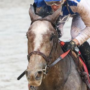 Thomas M. Amoss | America's Best Racing