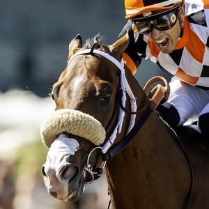 Intrepido | America's Best Racing