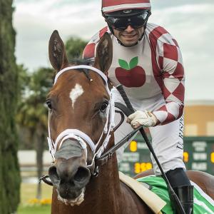 Michael W. McCarthy | America's Best Racing