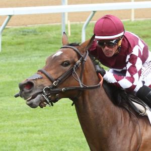 D. J. Stable LLC, Medallion Racing, Fowler, Barry and Parkland ...