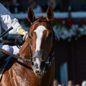 Kentucky West Racing LLC and Cooper, Clarke M. | America's Best Racing