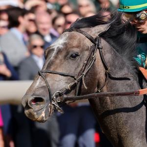 Gosger | America's Best Racing