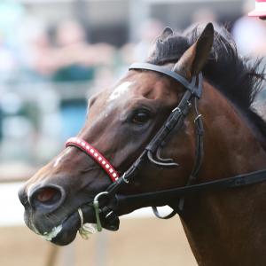 Gregory D. Foley | America's Best Racing