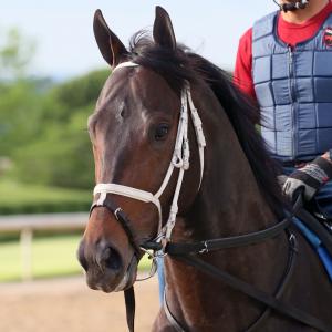 Ten Strike Racing and Madaket Stables LLC | America's Best Racing