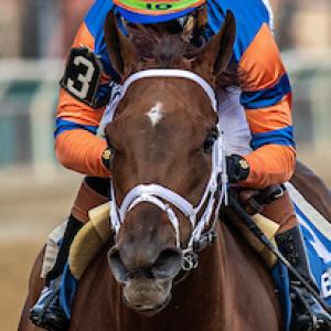Repole Stable | America's Best Racing