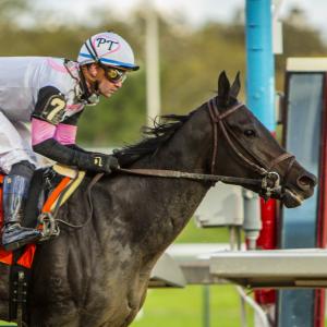 Jody's Pride | America's Best Racing