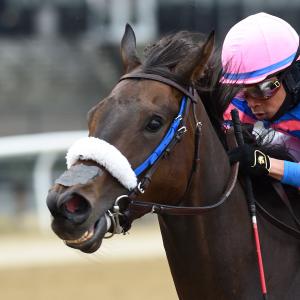 Carlos F. Martin | America's Best Racing