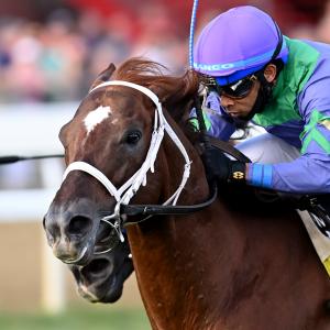 Robert Ribaudo | America's Best Racing