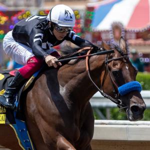 MyRacehorse and Leidel, Peter