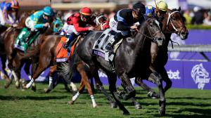 Two-Time Queen of the Hill: Mizdirection Makes Hay of Breeders’ Cup at Santa Anita