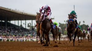 Champion Untapable a Dominant Force on Racing’s Biggest Days