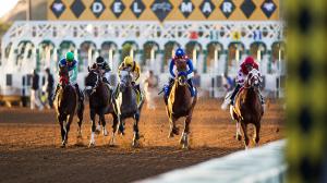 2025 Native Diver Stakes at a Glance