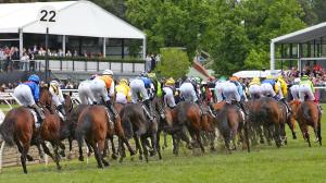Selections and Analysis for the 2025 Melbourne Cup