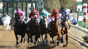 2026 Juddmonte Spinster Stakes at a Glance