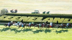 2026 Sycamore Stakes at a Glance