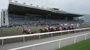TV, television, radio, streaming, King’s Plate, livestream, Alabama Stakes, Saratoga, Del Mar, Ellis Park, Woodbine, Gulfstream Park, FanDuel TV, FOX, FOX Sports, FS1, FS2, Saratoga Live, RTN, Byk, HRRN, ABR