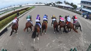 Holy Bull Stakes, gambling, betting, Bravaro, Nearly, Incredibolt, Equibase, Roger That Dana, Game for It, Project Ace, Global Aviator, Cannoneer, speed figure, trainer, jockey, Tyler Gaffalione, Saffie Joseph, Kentucky Derby, horse racing, ABR