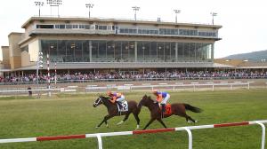 Penn Mile, gambling, Penn National, horse racing, trifecta, exacta, Major Dude, Classic Nofty, Teddy’s Rocket, Immortalised, Honey Dutch, Alpyland, Schoenthal, Cruz, jockey, trainer, John Velazquez, ABR, turf
