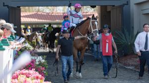 Fair Grounds, Fair Grounds Oaks, Kentucky Oaks, ABR, America's Best Racing, Triple Crown, horse racing