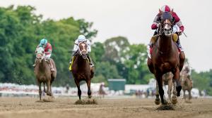 A Half-Dozen Important Trends to Know Before Betting the 2026 Haskell Stakes