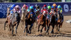 Ten Key Historical Trends to Know Before Betting the 2025 Breeders’ Cup Classic