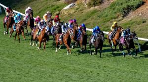 Breeders’ Cup, World Championships, Del Mar, John Gaines, founder, horse racing, breeding, California, Santa Anita, Ireland, Goldikova, Beholder, longshot, sire, Rebel’s Romance, Sovereignty, trainer, Richard Mandella, Brad Cox, ABR, Kentucky Derby
