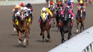 TV, television, streaming, Woodbine, King’s Plate, livestream, radio, Saratoga, NYRA, Gulfstream, Ellis, Monmouth, Del Mar, Bookit Sports, social media, Facebook, X, FOX, YouTube, FS1, FS2, FanDuel TV, RTN, Byk, HRRN, ABR, horse racing
