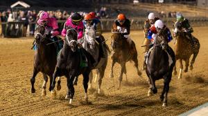 2025 Clark Stakes at a Glance