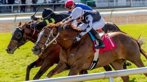 Noel’s Weekend Winners: Value Plays for Huge Saturday at Fair Grounds  