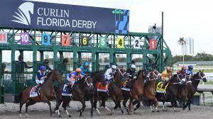Derby Dozen, Kentucky Derby, BloodHorse, Byron King, Sovereignty, Journalism, Barnes, Citizen Bull, Coal Battle, Chancer McPatrick, Burnham Square, Sandman, River Thames, Tappan Street, Tiztastic, Cornucopian, horse racing