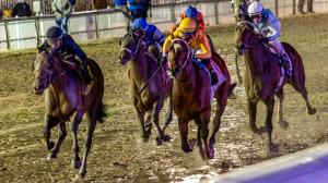 2026 Risen Star Stakes Cheat Sheet