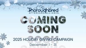 Thoroughbred Aftercare Alliance, TAA, holiday, giving, campaign, charity, horse racing, aftercare, OTTB, donations, sponsors, Terry Finley, Emily Dresen, equine, Thoroughbred, retired racehorse, ABR