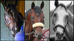 Jim Dandy Stakes, Sovereignty, Kentucky Derby, Belmont Stakes, Baeza, Sandman, Arkansas Derby, Saratoga Race Course, America's Best Racing, horse racing, ABR