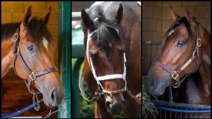 Breeders’ Cup Classic, slideshow, contenders, Sierra Leone, Fierceness, Forever Young, Mindframe, Journalism, Antiquarian, Baeza, Highland Falls, Nevada Beach, Locked, Hit Show, horse racing, ABR