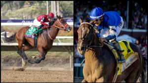 Breeders’ Cup Classic, Forever Young, Kentucky Derby, Belmont Stakes, Sovereignty, America's Best Racing, ABR, Horse Racing 
