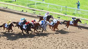 Ashland Stakes, Keeneland, Kentucky Oaks, glance, Nycon, Percy’s Bar, Zany, French Friction, Omaha Bay, Hollybygolly, Star Actress, jockey, trainer, Casse, Colebrook, Beckman, Pletcher, Ortiz, Gaffalione, Wilkes, Brisset, Mott, horse racing, ABR