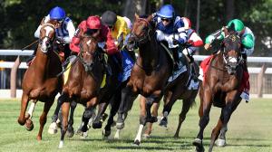2026 Belmont Derby at a Glance