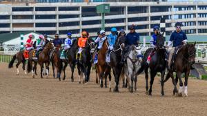 Holy Bull Stakes, Gulfstream Park, horse racing, Kentucky Derby, Incredibolt, Roger That Dana, Project Ace, Global Aviator, Cannoneer, Buetane, Nearly, Bravaro, Game for It, Brad Cox, Todd Pletcher, trainer, jockey, Irad Ortiz, Riley Mott, owner, ABR