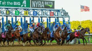 2026 Peter Pan Stakes at a Glance