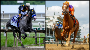 2026 Haskell Stakes Cheat Sheet