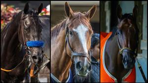 Breeders’ Cup Distaff, fillies, mares, slideshow, contenders, Splendora, Fully Subscribed, Nitrogen, horse racing, America's Best Racing, ABR