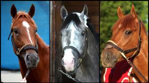 Further Ado, Napoleon Solo, The Puma, Haskell Stakes, Monmouth Park, horse racing, America's Best Racing, ABR