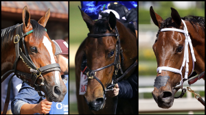 Percy’s Bar, Meaning, Bella Ballerina, Kentucky Oaks, Churchill Downs, horse racing, America's Best Racing, ABR