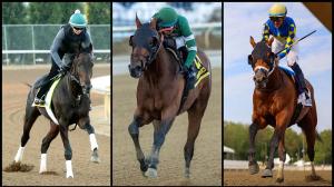 Preakness Stakes, Triple Crown, Laurel Park, Cheat Sheet, Bull by the Horns, Chip Honcho, Corona de Oro, Crupper, Great White, Incredibolt, Iron Honor, Napoleon Solo, Ocelli, Pretty Boy Miah, Robusta, Taj Mahal, Talkin, The Hell We Did, ABR