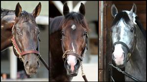 Chip Honcho, Ocelli, Napoleon Solo, Triple Crown, Preakness, Laurel Park, horse racing, America's Best Racing, ABR